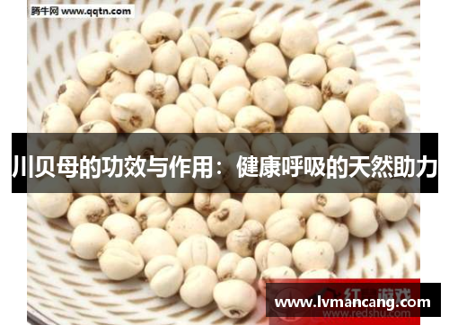 川贝母的功效与作用：健康呼吸的天然助力