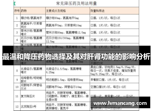 最温和降压药物选择及其对肝肾功能的影响分析 最温和降压药物选择及其对肝肾功能的影响分析