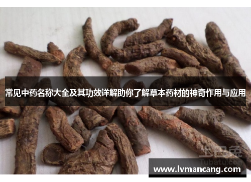 常见中药名称大全及其功效详解助你了解草本药材的神奇作用与应用 常见中药名称大全及其功效详解助你了解草本药材的神奇作用与应用